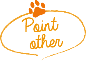 Point  other