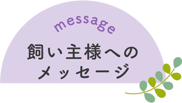 message 飼い主様へのメッセージ