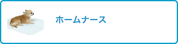 ホームナース