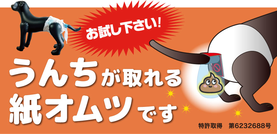 お試し下さい!うんちが取れる紙オムツです　特許取得　第6232688号