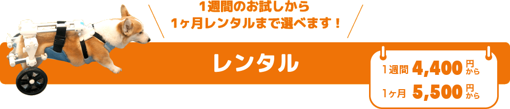 1週間のお試しから1ヶ月レンタルまで選べます!　レンタル　1週間 4,000円から　1ヶ月 5,000円から