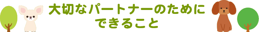 大切なパートナーのためにできること