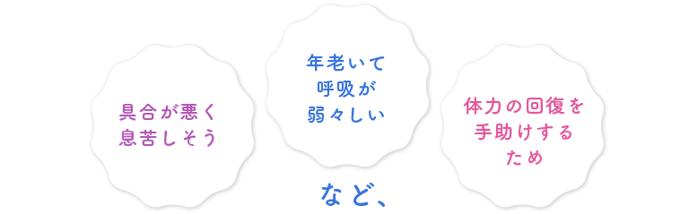 具合が悪く息苦しそう　年老いて
呼吸が弱々しい　体力の回復を手助けするため　ストレス解消、食欲増進　など、